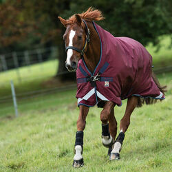 Horseware Rambo Wug Turnout (200g Medium) - Burgundy/Burgundy, Teal & Navy - Closeout
