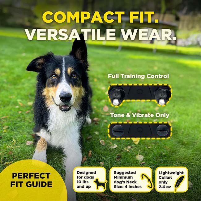 Dogtra 200IQ 1-Dog Unit image number null