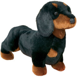 Douglas Spats the Black & Tan Dachshund
