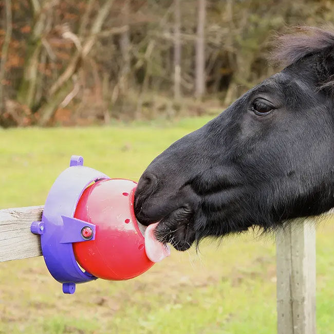 Likit Tongue Twister Toy - Red image number null