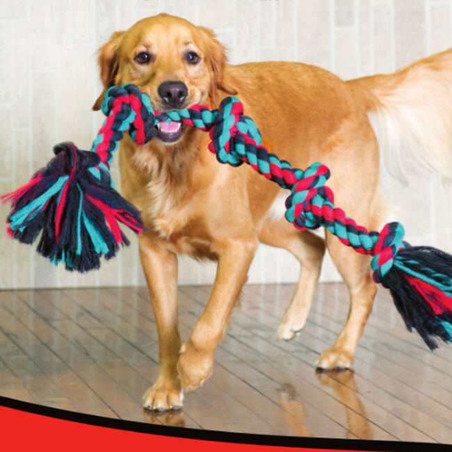 Mammoth Pet Flossy Chews - Toss, Tug, Floss Rope Dog Toys  image number null