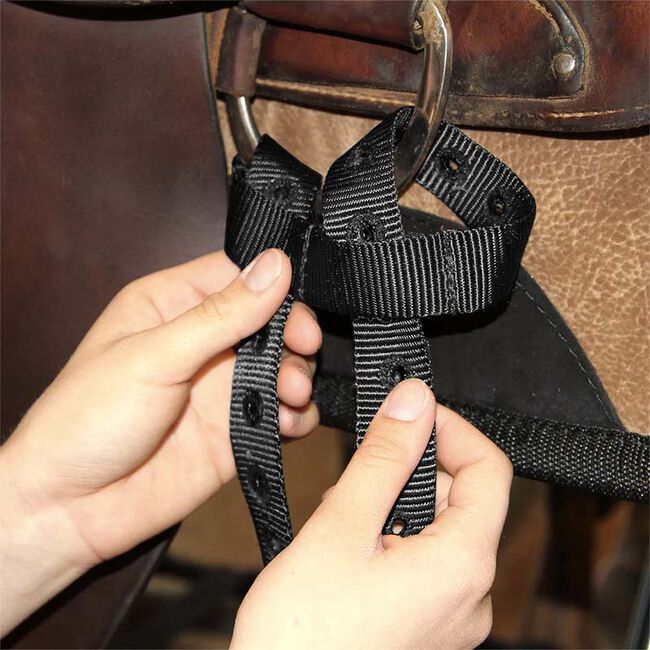 Whinny Widgets Cinch Converter image number null