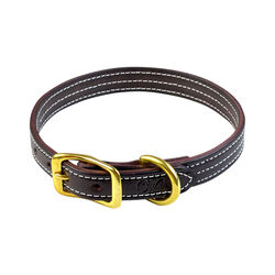 Walsh British Dog Collar - Closeout