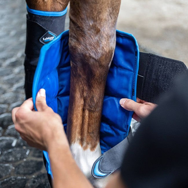 LeMieux Freeze Flow Ice Boots image number null