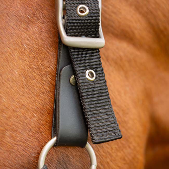 Equinavia Saga Fleece Padded Breakaway Halter - Black image number null