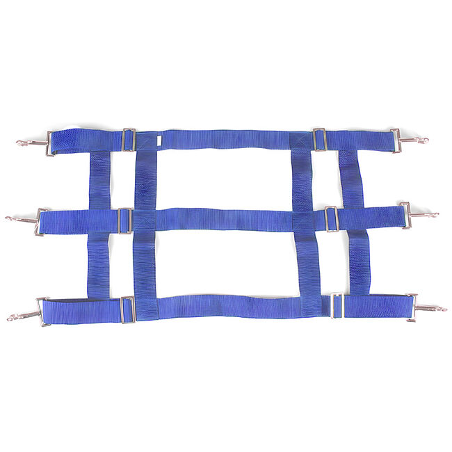 Intrepid International 3-Slot Poly Web Stall Guard image number null