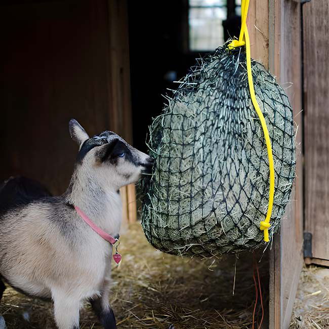 Texas Haynet Small Hay Net image number null