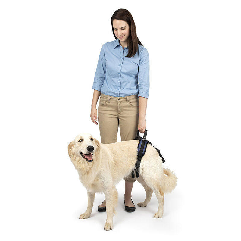 Carelift rear only lifting harness best sale