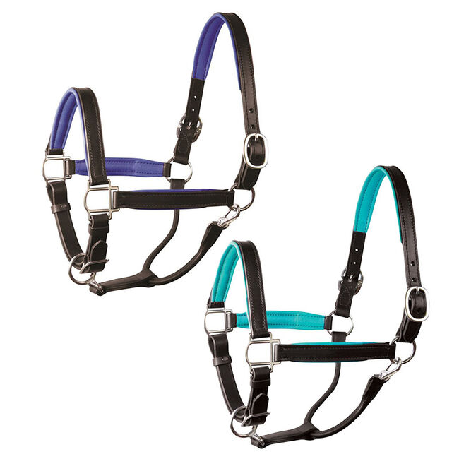 Perri's Leather Padded Leather Halter image number null