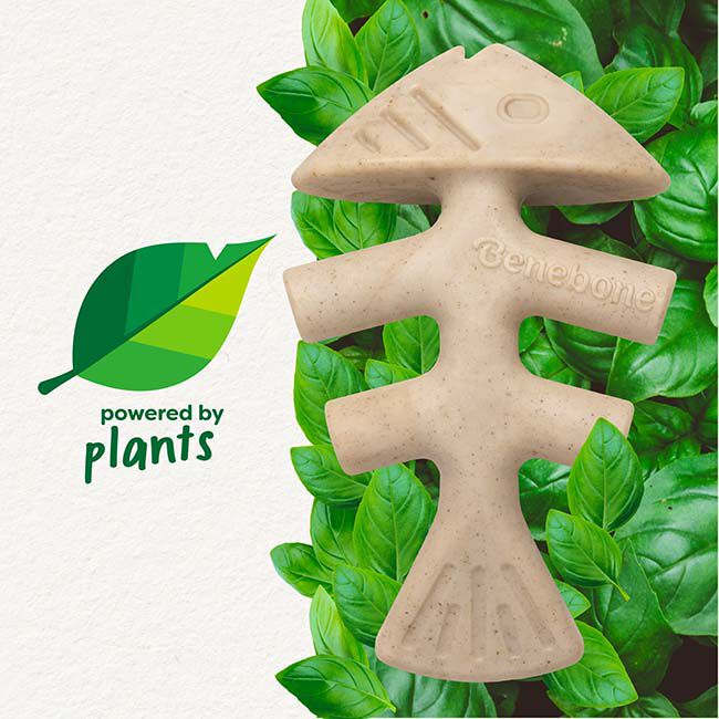 Benebone Green Plant-Based Chew Toy - Fishbone image number null