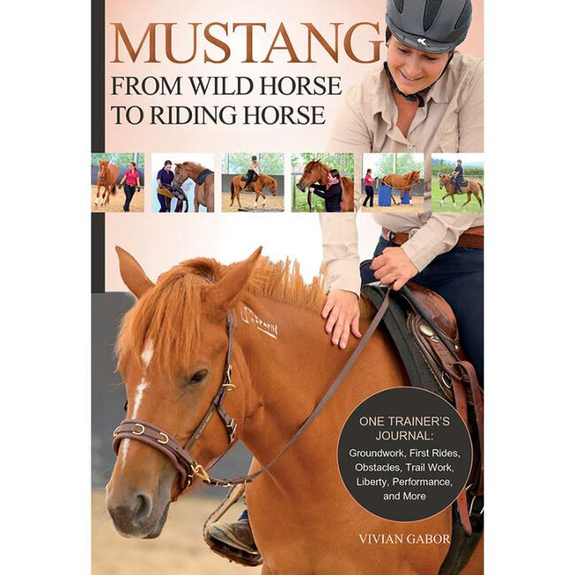 Mustang: From Wild Horse to Riding Horse image number null