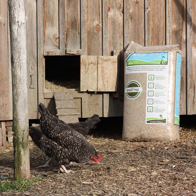 Lucerne Farms Koop Clean Chicken Bedding - 2.4 cubic ft image number null