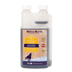 Hilton Herbs TX First Response for Equines - Multi-System Immune Support - 1.05 Pint