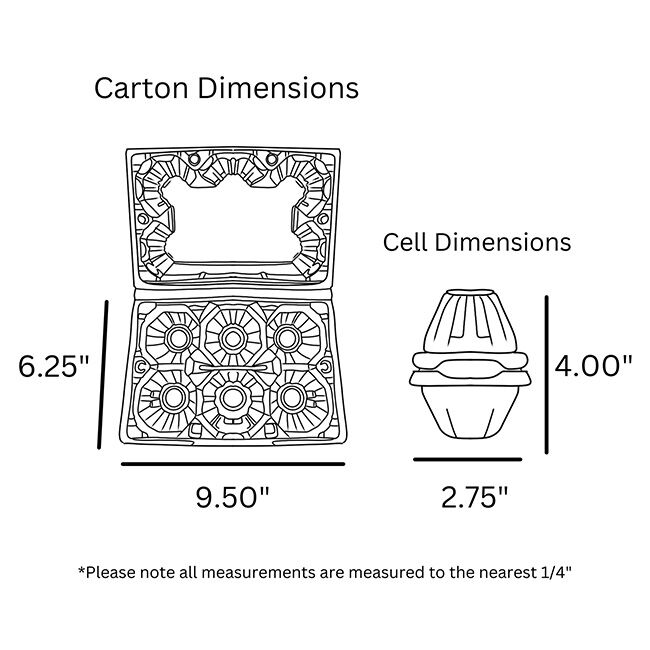 EggCartons.com Goose 6-Egg Plastic Carton image number null