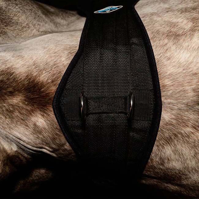 Professional's Choice 2XCool Cinch image number null