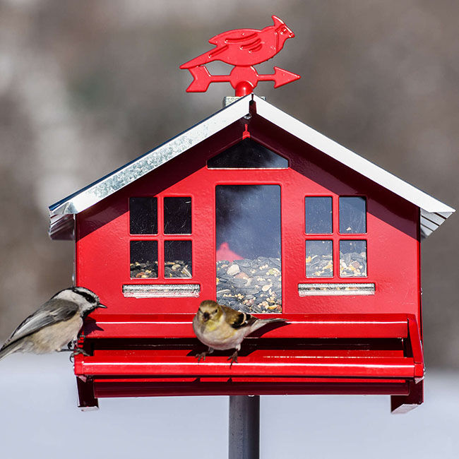 Perky-Pet Squirrel-Be-Gone Metal Country House Bird Feeder image number null