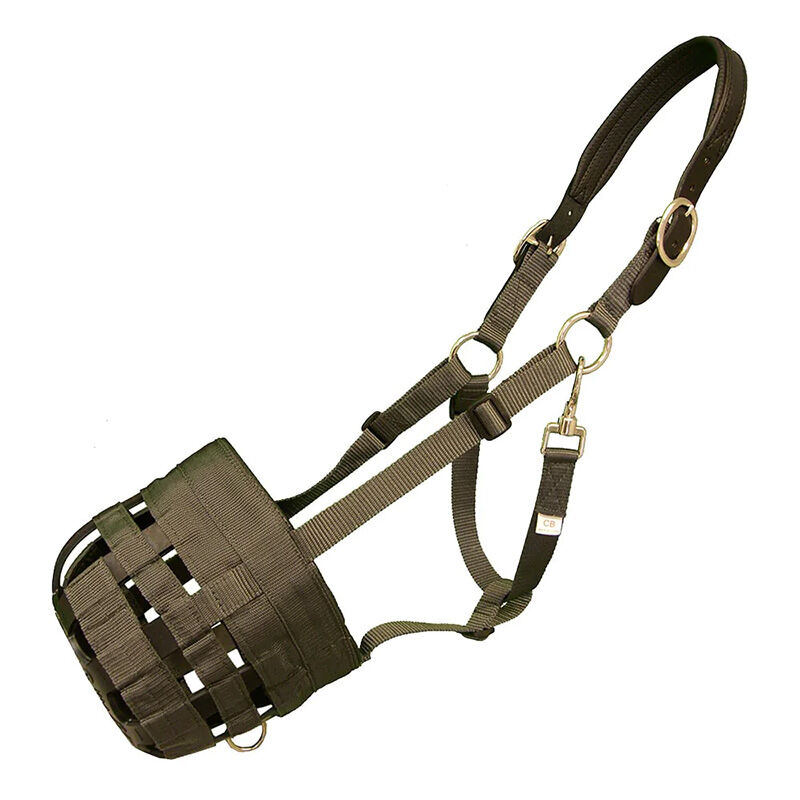 Best Friend Padded Leather Crown Grazing Muzzle The Cheshire Horse