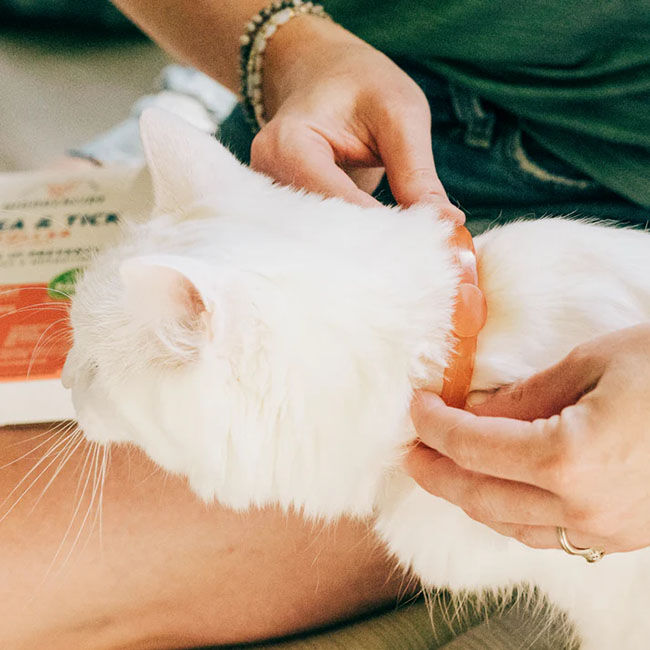 Wondercide Flea & Tick Collar for Cats with Natural Essential Oils image number null