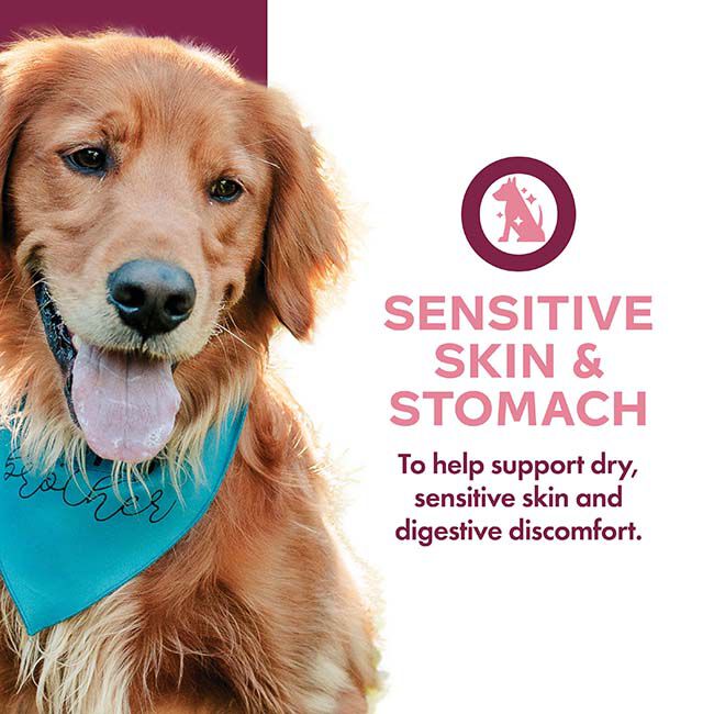 Fromm Nutritionals Sensitive Skin & Stomach Complete Dog Food Pate - 13 oz image number null