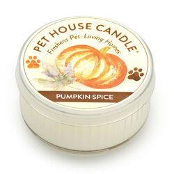 Pet House Candle Mini Candle - Pumpkin Spice