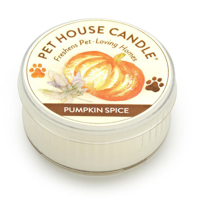 Pet House Candle Pumpkin Spice Mini Candle image number null