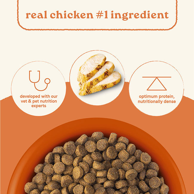 Canidae All Life Stages Dog Food - Real Chicken & Ancient Grains Recipe image number null
