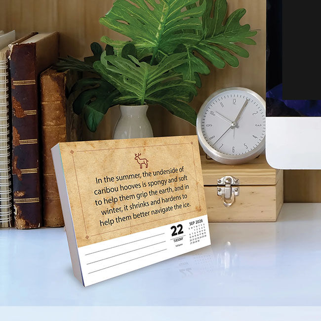 Willow Creek Press 2026 Box Calendar - Awesome Animal Facts image number null