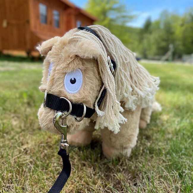 Crafty Ponies Toy Lunge Cavesson Set image number null