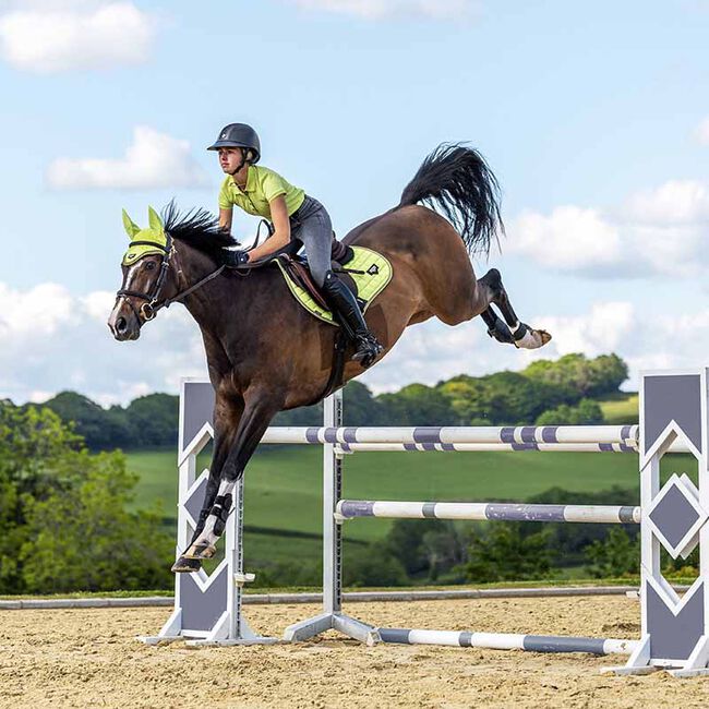 LeMieux Loire Classic Close Contact Pad - Kiwi image number null