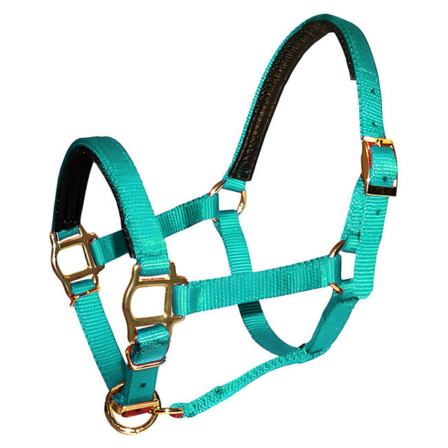 Triple E Mini Premium Nylon PVC Padded Halter image number null