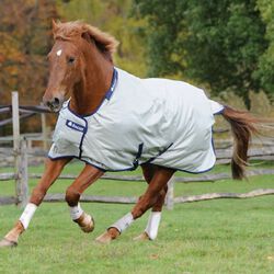 Bucas Power Classic Light Turnout