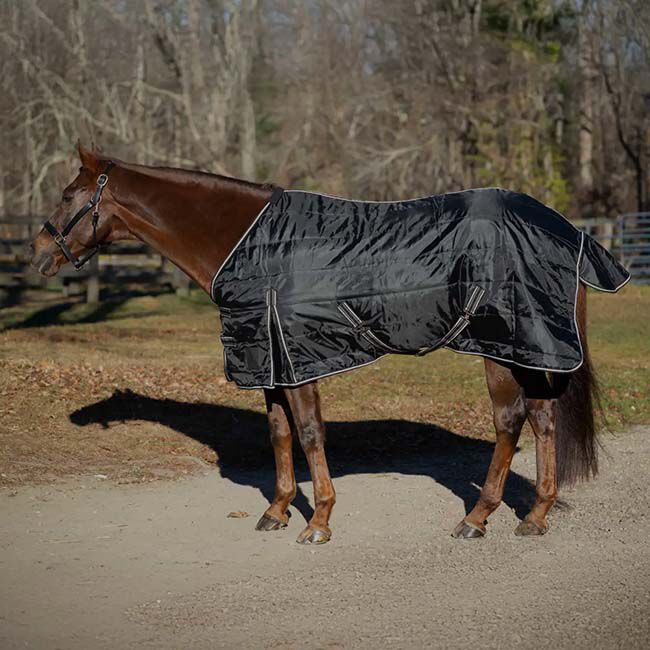Equinavia Norse Gusseted Stable Blanket (100g) - Black image number null