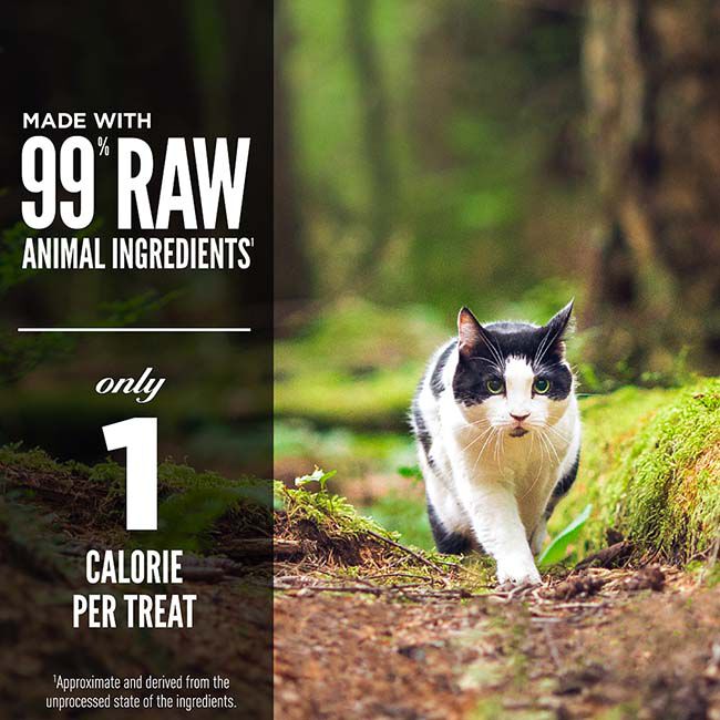 ORIJEN Freeze-Dried Cat Treats - Regional Red Recipe - 1.25 oz image number null