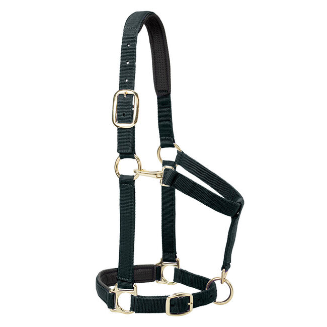 Weaver Equine Padded Adjustable Chin & Throat Snap Halter image number null