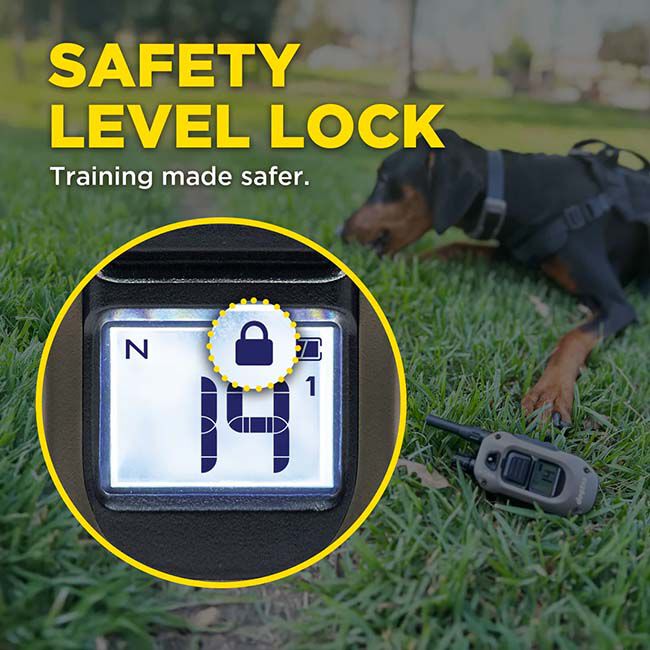 Dogtra 1900X 1-Dog Unit image number null