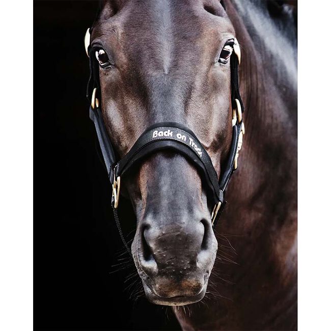 Back on Track Werano Halter image number null