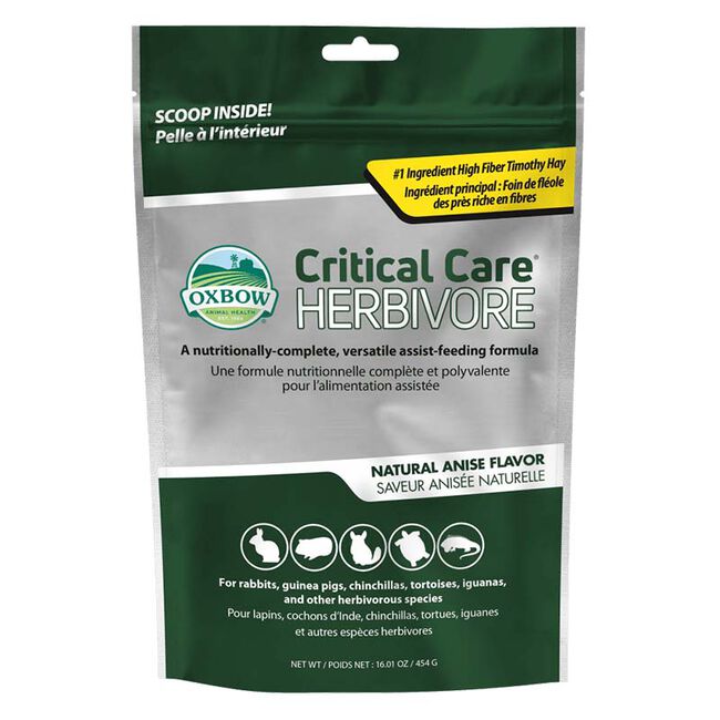 Oxbow Animal Health Critical Care Herbivore - Natural Anise Flavor image number null