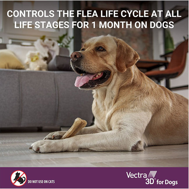 Vectra 3D Flea & Tick Spot Treatment for Dogs image number null