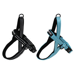 Alcott Norwegian Harness