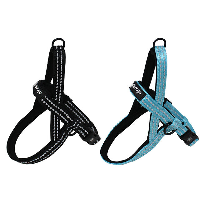Alcott Norwegian Harness image number null