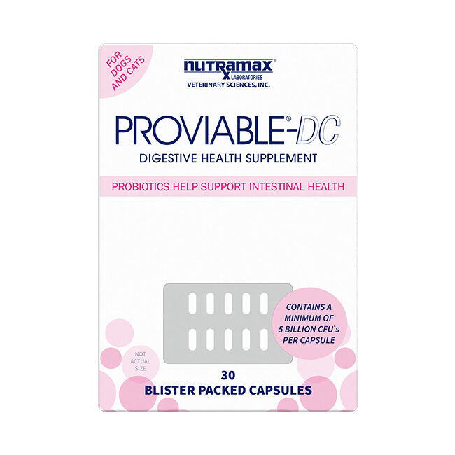 Nutramax Laboratories Proviable Digestive Health Supplement Multi-Strain Probiotics and Prebiotics for Cats and Dogs - with 7 Strains of Bacteria - Blister Packed Capsules image number null