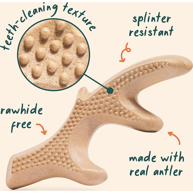 Woof HonestChew - Antler image number null