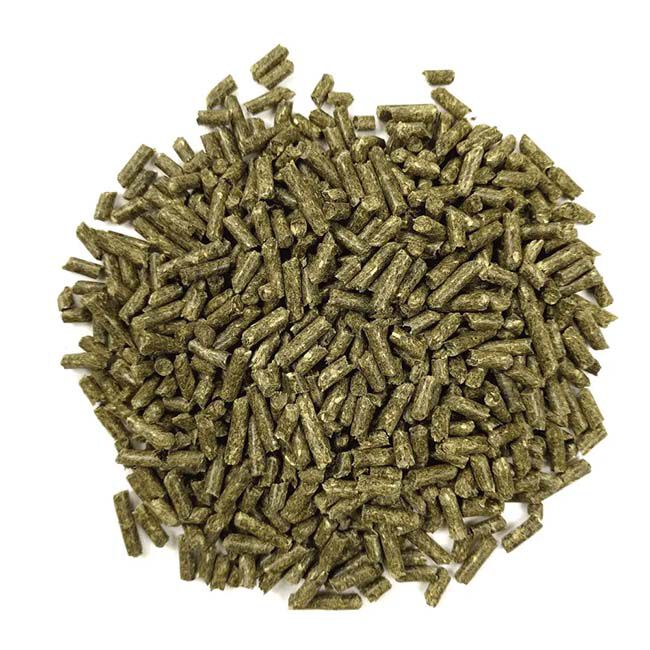 Oxbow Animal Health Essentials Young Guinea Pig Food image number null