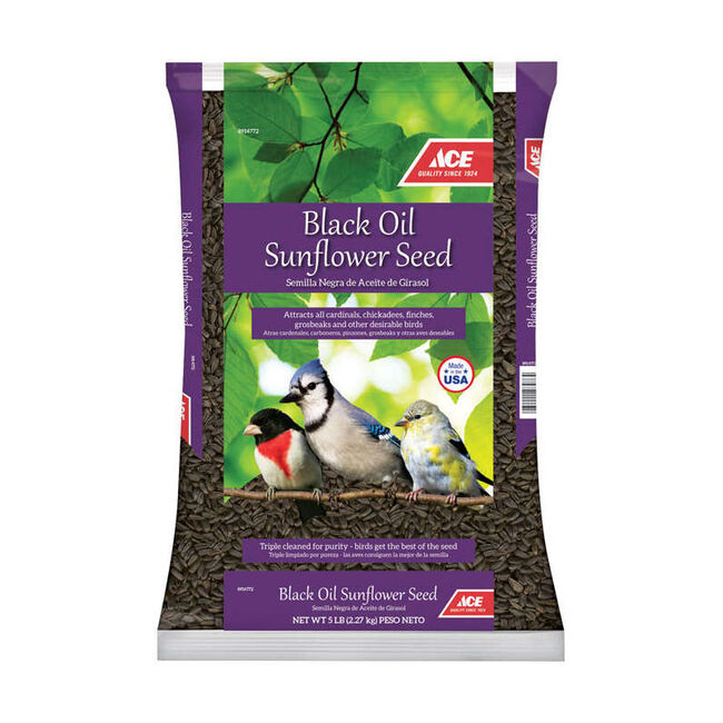 Ace Hardware Songbird Black Oil Sunflower Seed - 5 lb image number null
