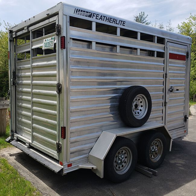 Rental Trailer 2014 Featherlite 8107 Bumper Pull Stock Trailer 12