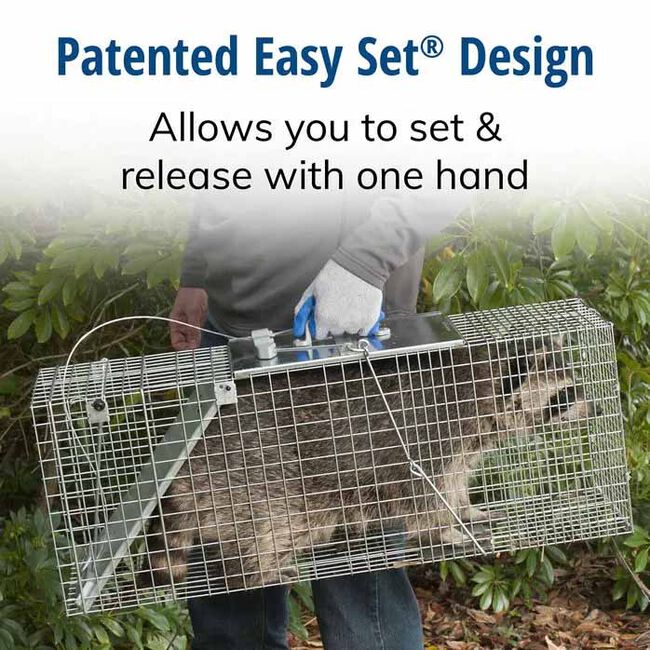 Havahart Easy Set Large 1-Door Animal Trap image number null