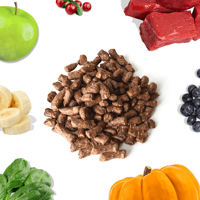 HealthyBud Meal Bites Freeze-Dried Raw Dog Food - Beef Recipe image number null