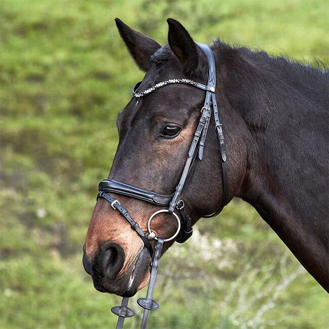 Kavalkade Ivette Patent Leather Dressage Bridle image number null