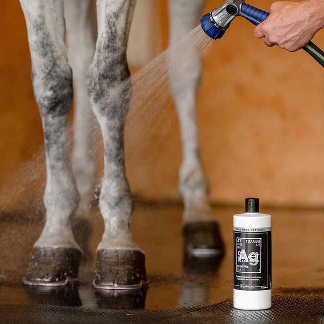 EquiFit AgSilver Maximum Strength CleanWash image number null