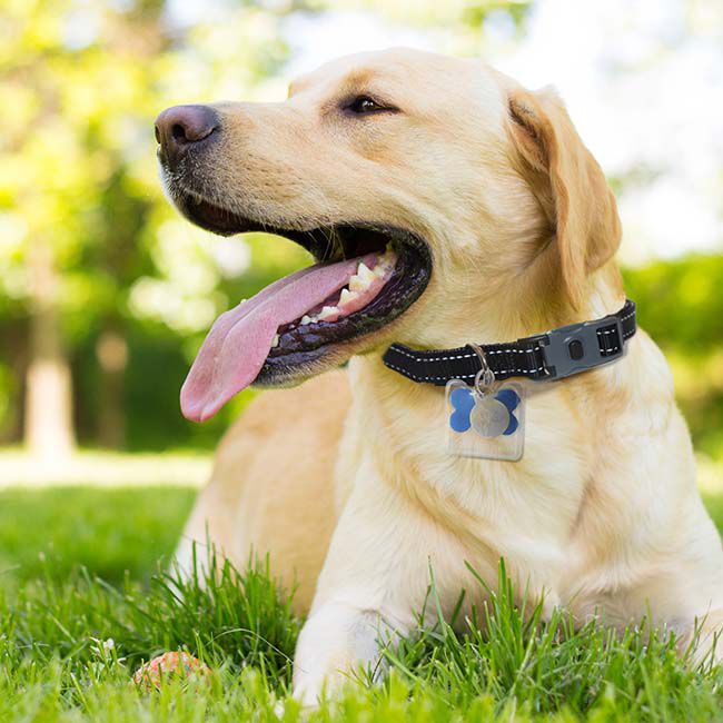 ThunderWorks ThunderCover Dog Tag Silencer image number null